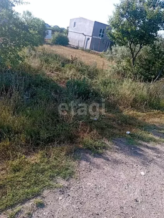 Участок в Крым, Черноморский район, с. Новосельское, Волна СНТ ул. ... - Фото 1