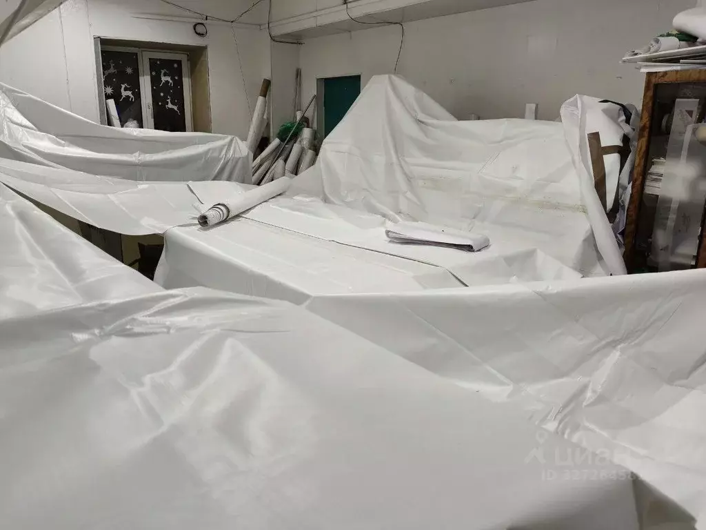 Помещение свободного назначения в Пензенская область, Пенза ул. ... - Фото 1