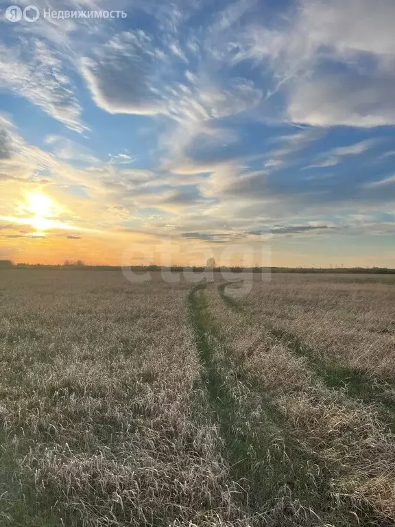 Участок в Тюмень, Ленинский округ (7.17 м) - Фото 2