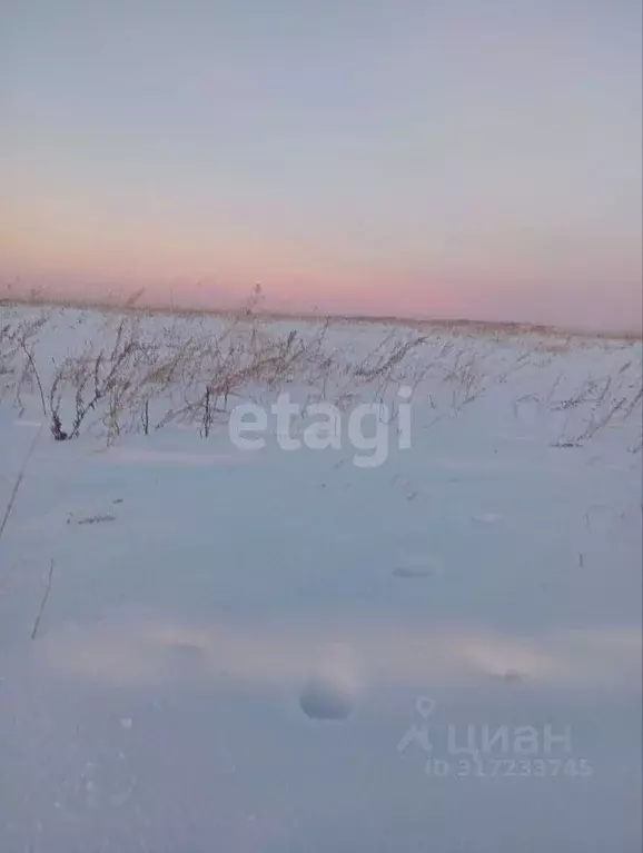 Участок в Иркутская область, Иркутск  (6.1 сот.) - Фото 1