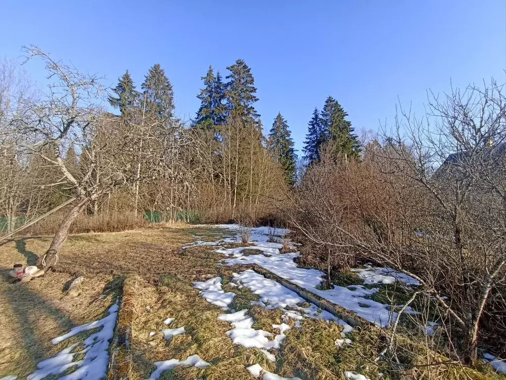 Дом в Ленинградская область, Лужский район, Толмачевское городское ... - Фото 2