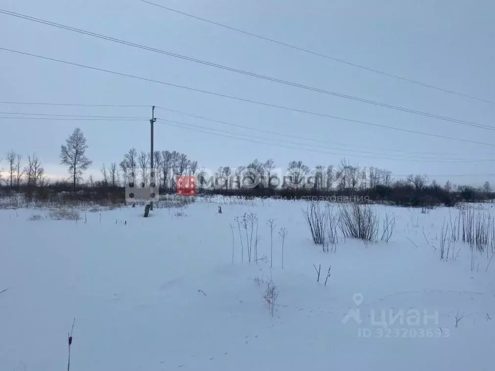Участок в Амурская область, Белогорский муниципальный округ, с. ... - Фото 2
