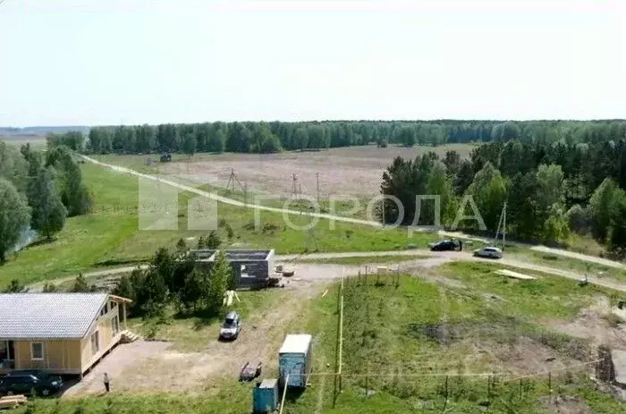 Участок в Новосибирская область, Новосибирский район, Кудряшовский ... - Фото 2