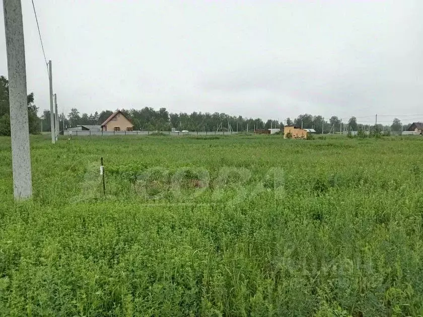 Участок в Тюменская область, Тюмень Зеленый Бор ДНТСН, ул. Победы ... - Фото 0