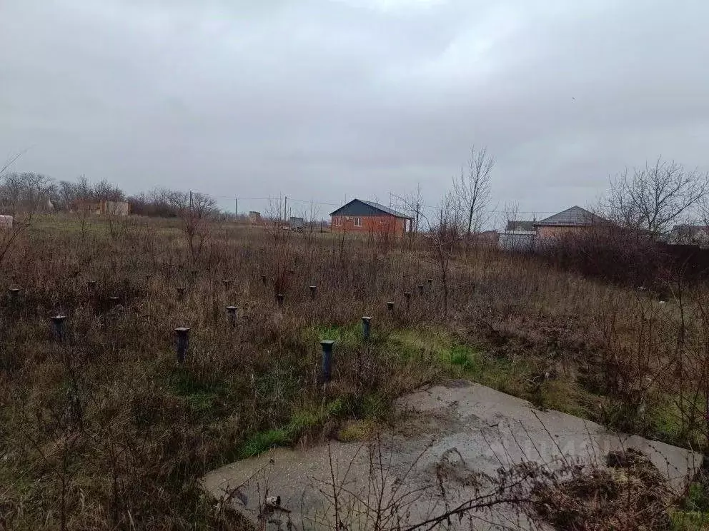 Участок в Краснодарский край, Тихорецкий район, Алексеевское с/пос, ... - Фото 2