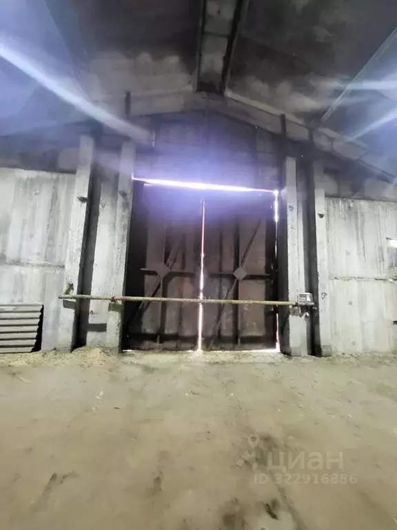 Помещение свободного назначения в Московская область, Коломна ... - Фото 2