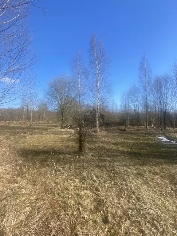 Участок в Новгородская область, Новгородский район, Ермолинское с/пос, ... - Фото 1