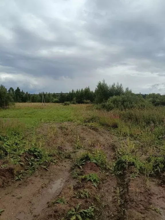 Участок в Московская область, Солнечногорск городской округ, д. Мостки ... - Фото 2