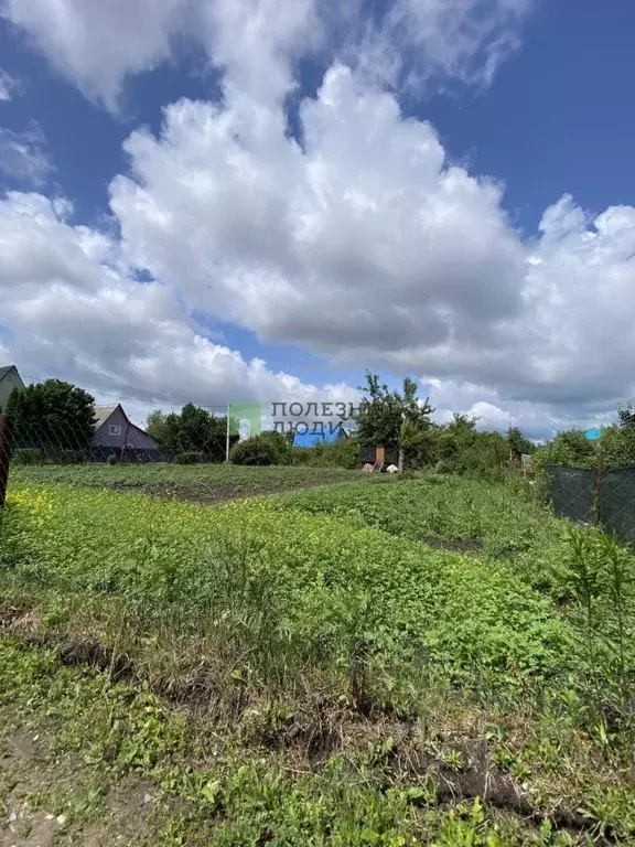 Участок в Орловская область, Орловский район, д. Паньково (Неполодское ... - Фото 0