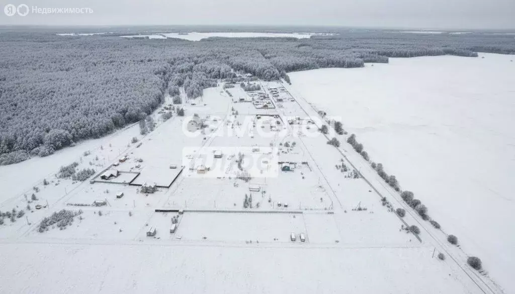 Участок в Сергиево-Посадский городской округ, село Кучки (1000 м) - Фото 2