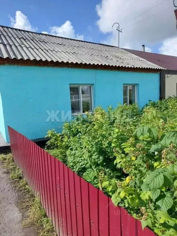 Дом в Новосибирская область, с. Здвинск ул. Олимпийская (43 м) - Фото 1