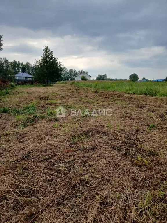 Участок в Владимирская область, Судогодский район, с. Чамерево ул. ... - Фото 1
