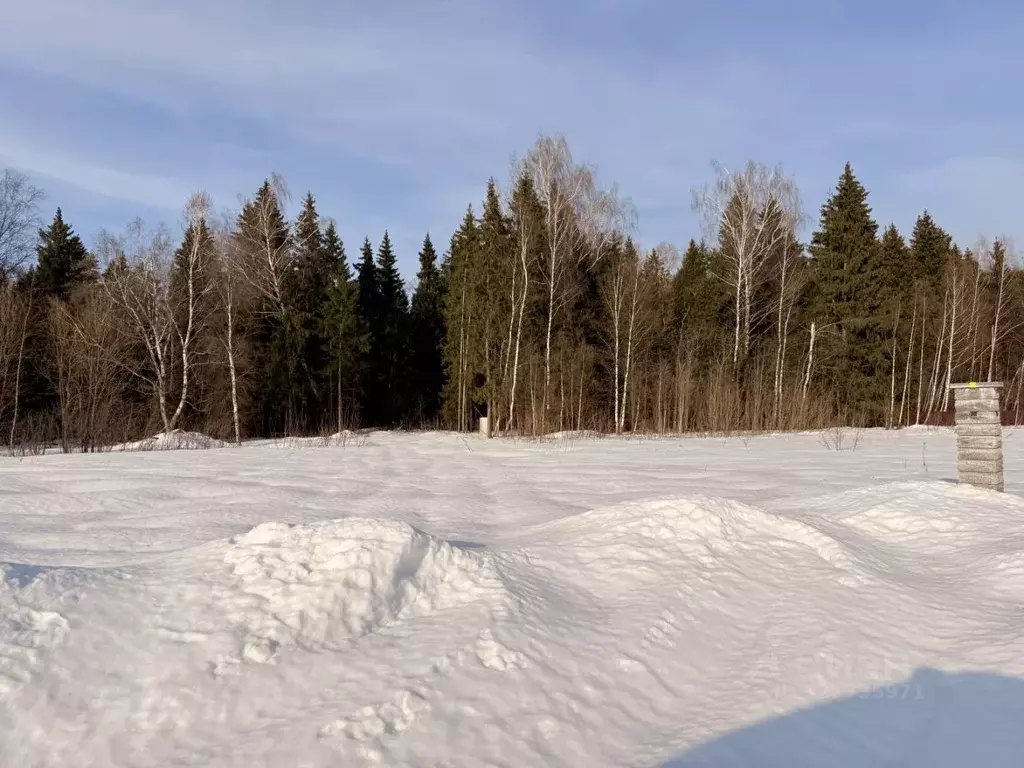Участок в Московская область, Солнечногорск городской округ, Бережки-2 ... - Фото 1