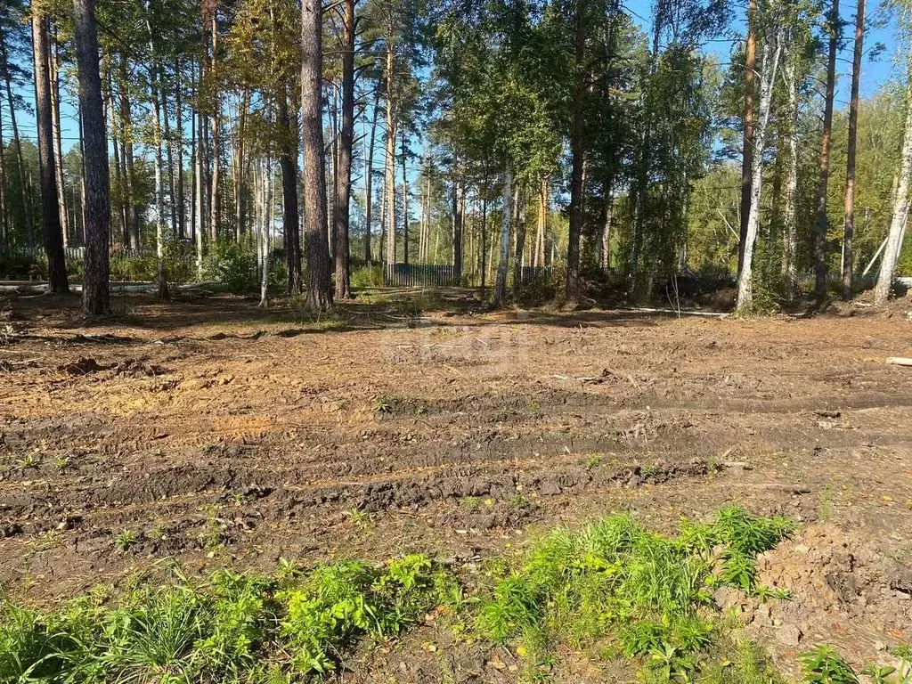 Участок в Свердловская область, Екатеринбург Аэродром ДНП, 42 (11.6 ... - Фото 1