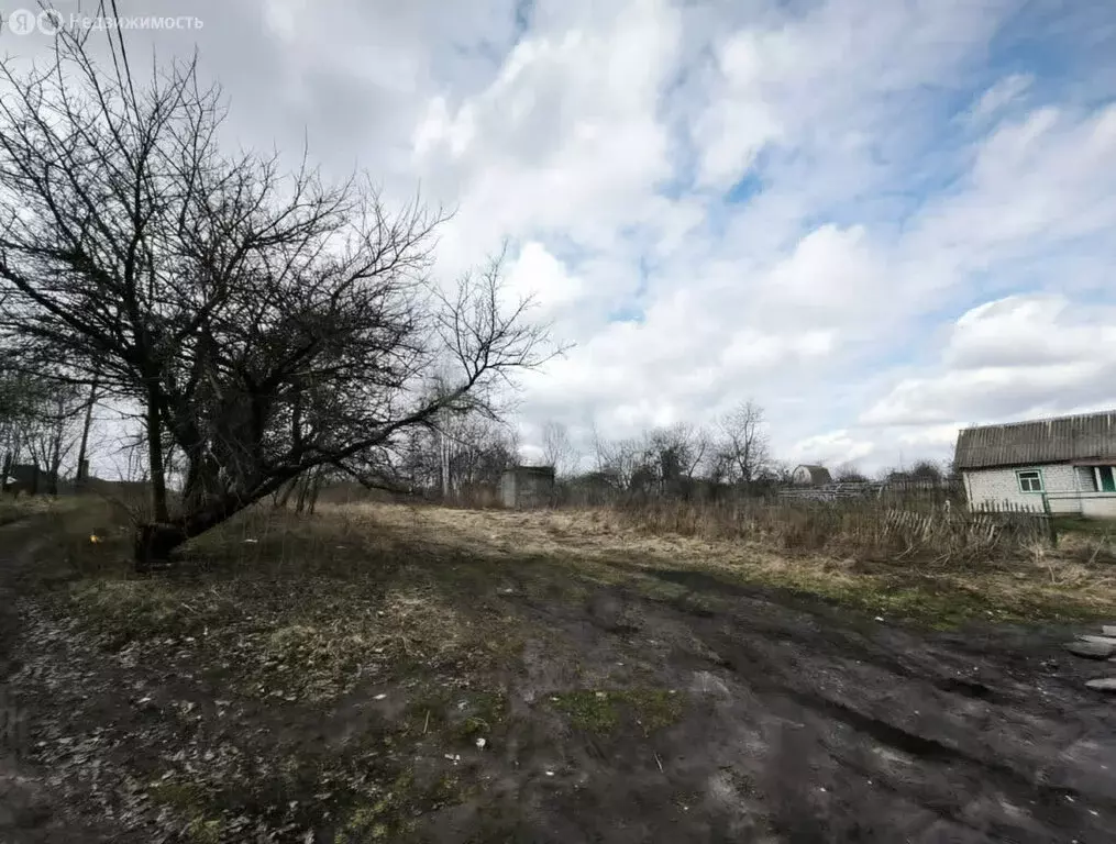 Участок в посёлок Верный Путь, садоводческое объединение Родничок (6 ... - Фото 2