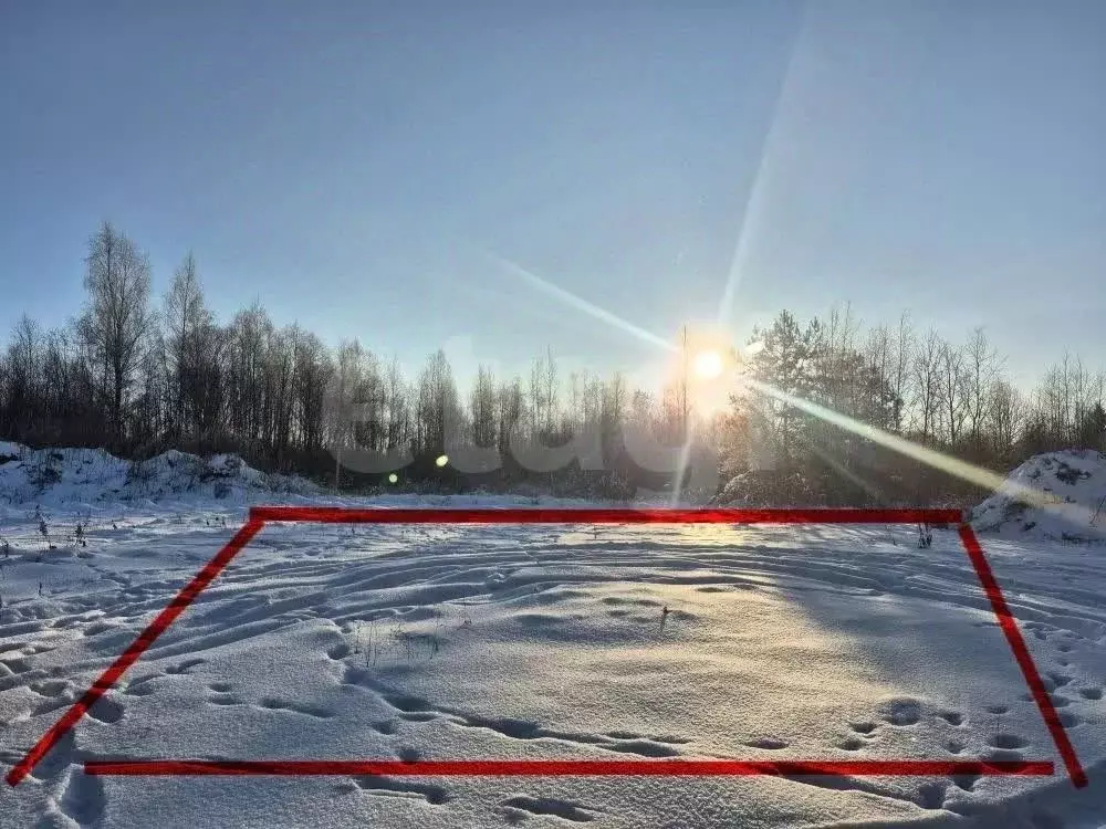 Участок в Псковская область, Псковский район, Ядровская волость, д. ... - Фото 2