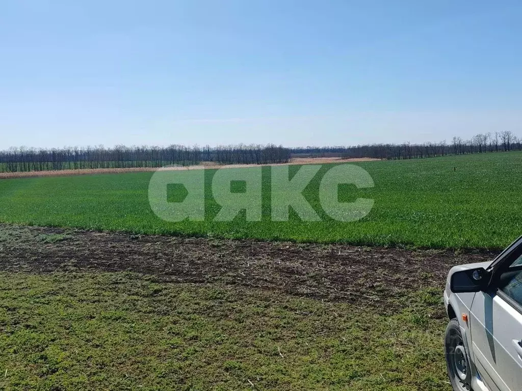 Участок в Краснодарский край, Кореновский район, с. Братковское Южная ... - Фото 1