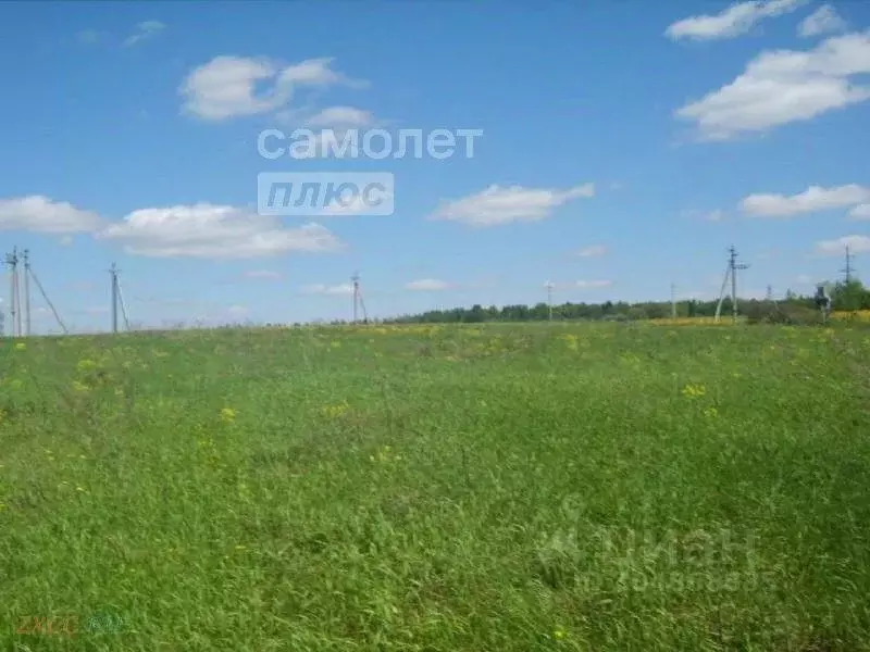 участок в башкортостан, уфа городской округ, д. самохваловка ул. . - Фото 0