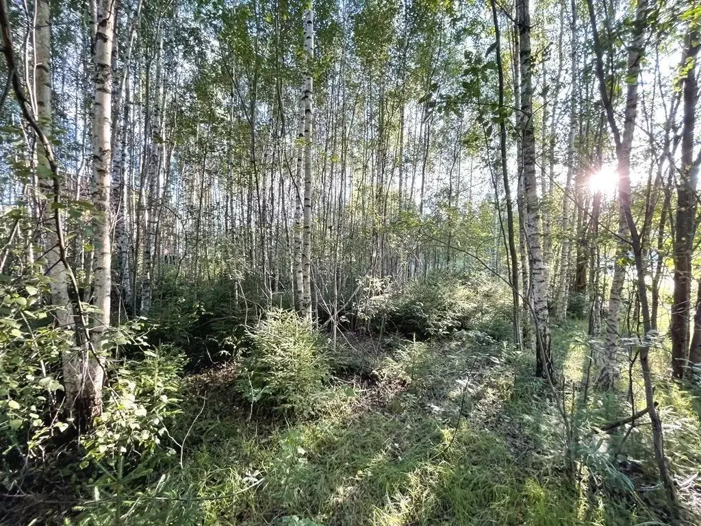 Участок в Московская область, Мытищи городской округ, с. Марфино  ... - Фото 1