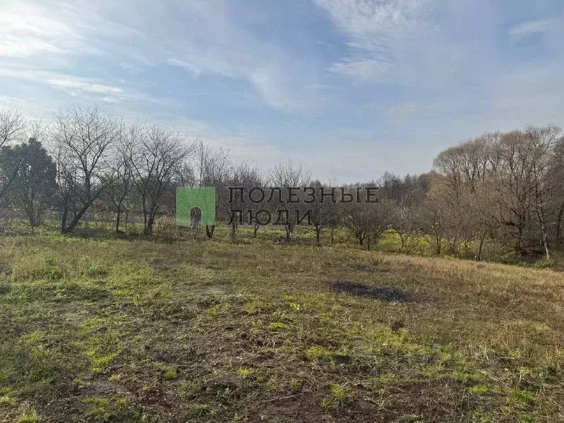 Участок в Курская область, Железногорский район, Михайловский ... - Фото 1