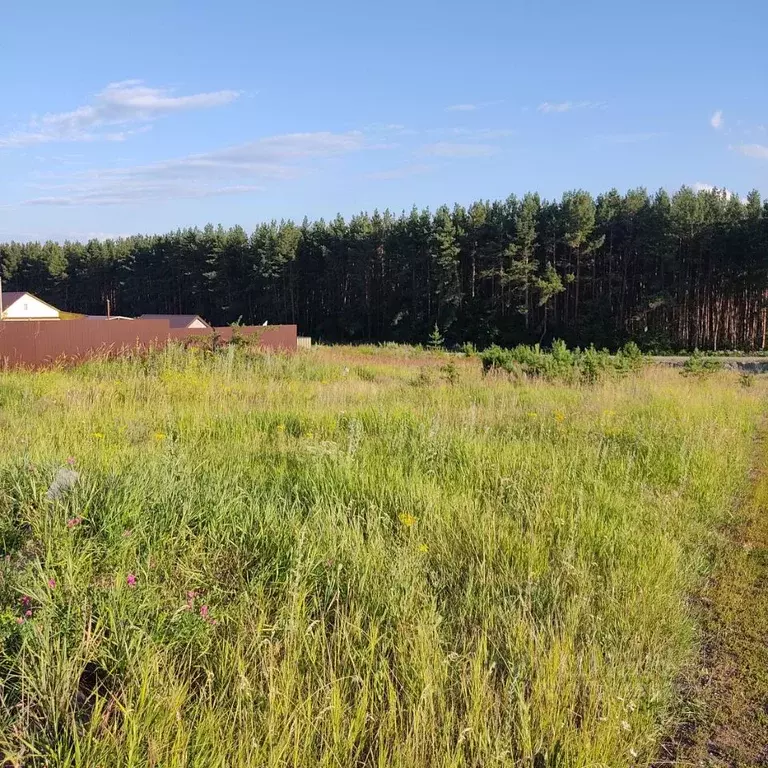Участок в Ульяновская область, Ульяновский район, с. Большие Ключищи  ... - Фото 0