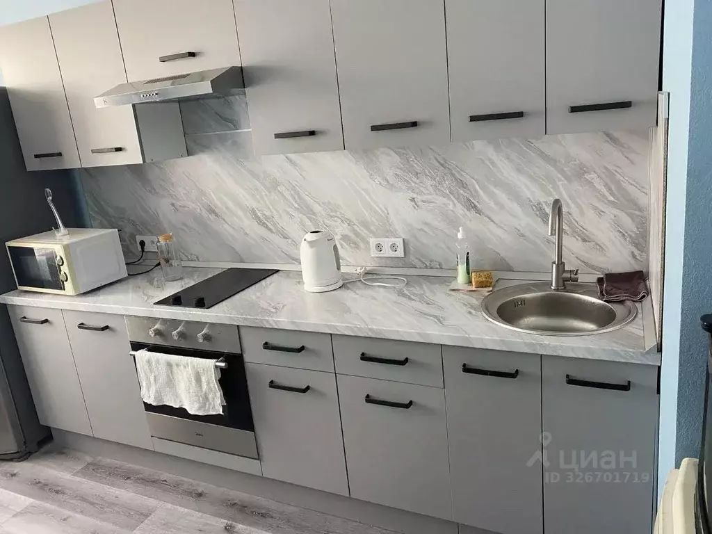 1-к кв. Ленинградская область, Всеволожский район, Романовское с/пос, ... - Фото 1