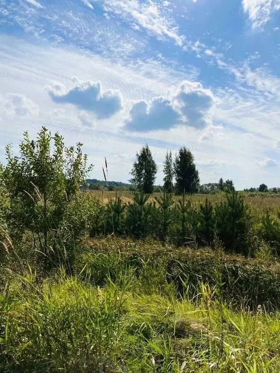 Участок в Ленинградская область, Ломоносовский район, Низинское с/пос, ... - Фото 2