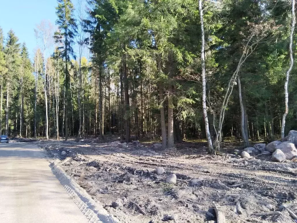 Участок в Ленинградская область, Всеволожск  (7.94 сот.) - Фото 1