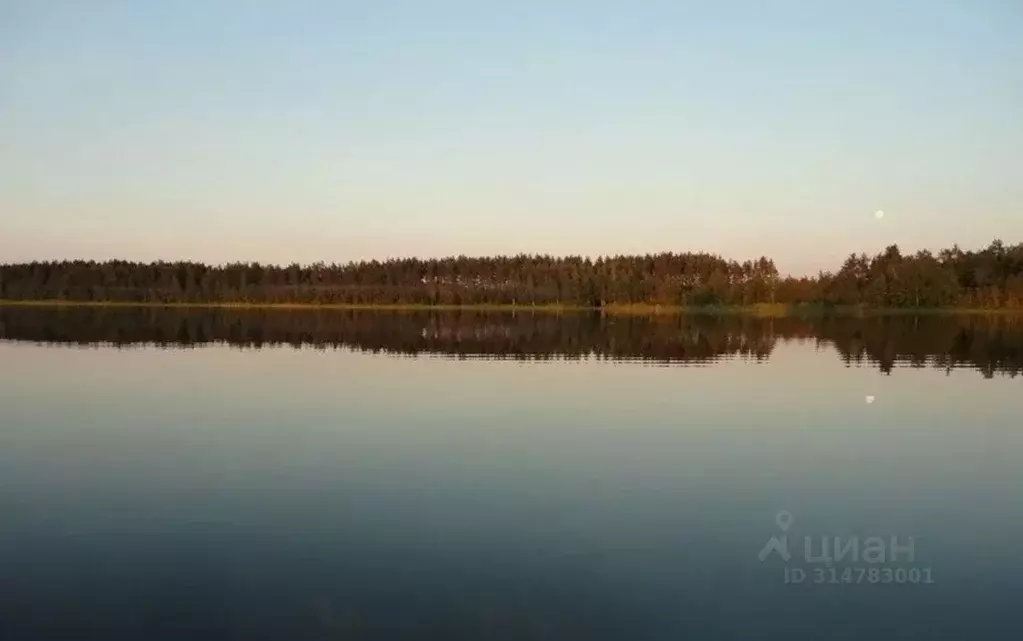 Участок в Псковская область, Себежский район, Сосновый Бор городское ... - Фото 1