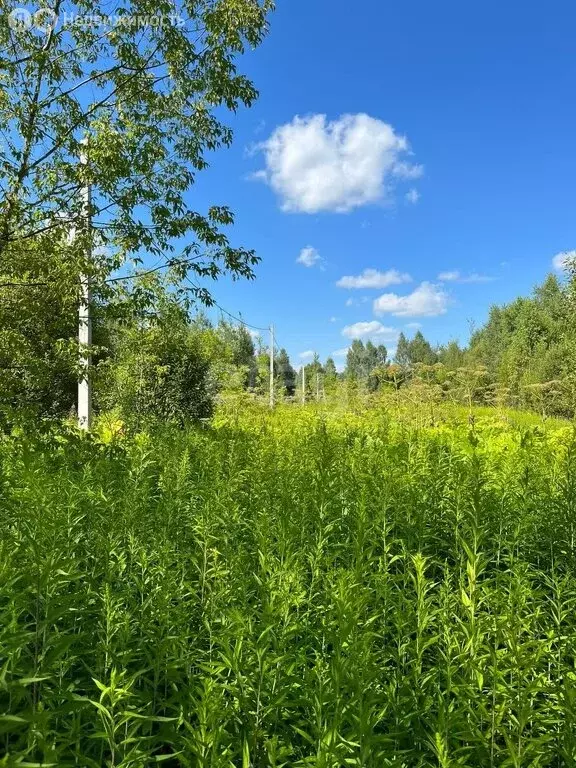 Участок в Калужская область, Козельский муниципальный округ, сельское ... - Фото 1