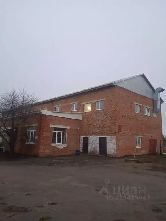 Производственное помещение в Воронежская область, Богучарский район, ... - Фото 2