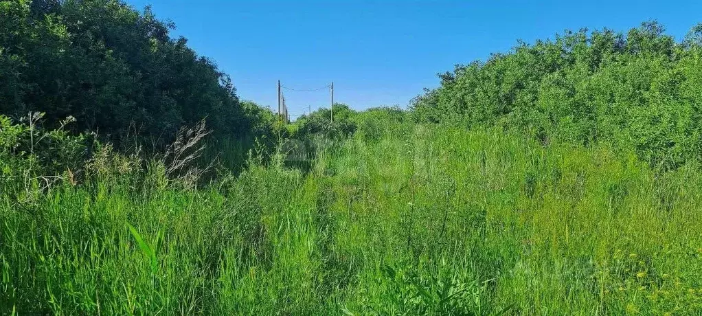 участок в тюменская область, тюмень большое царево-1 тсн, (10.0 сот.) - Фото 1