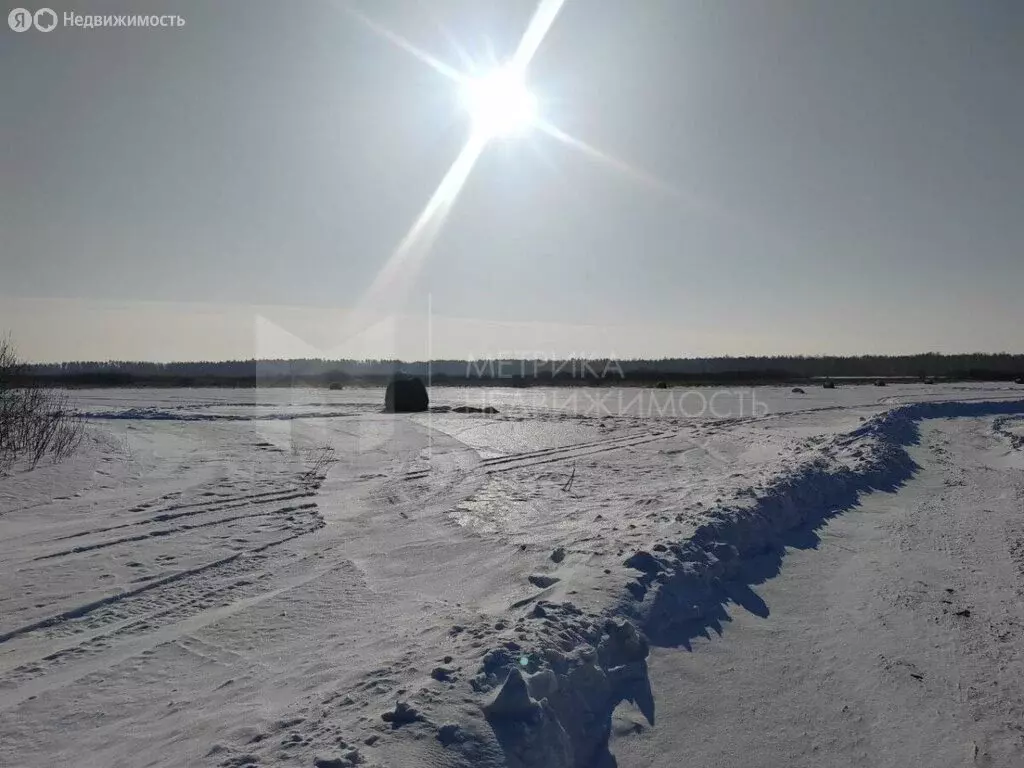 Участок в Тюмень, садовое товарищество Яровское, Грушевая улица, 30 ... - Фото 0