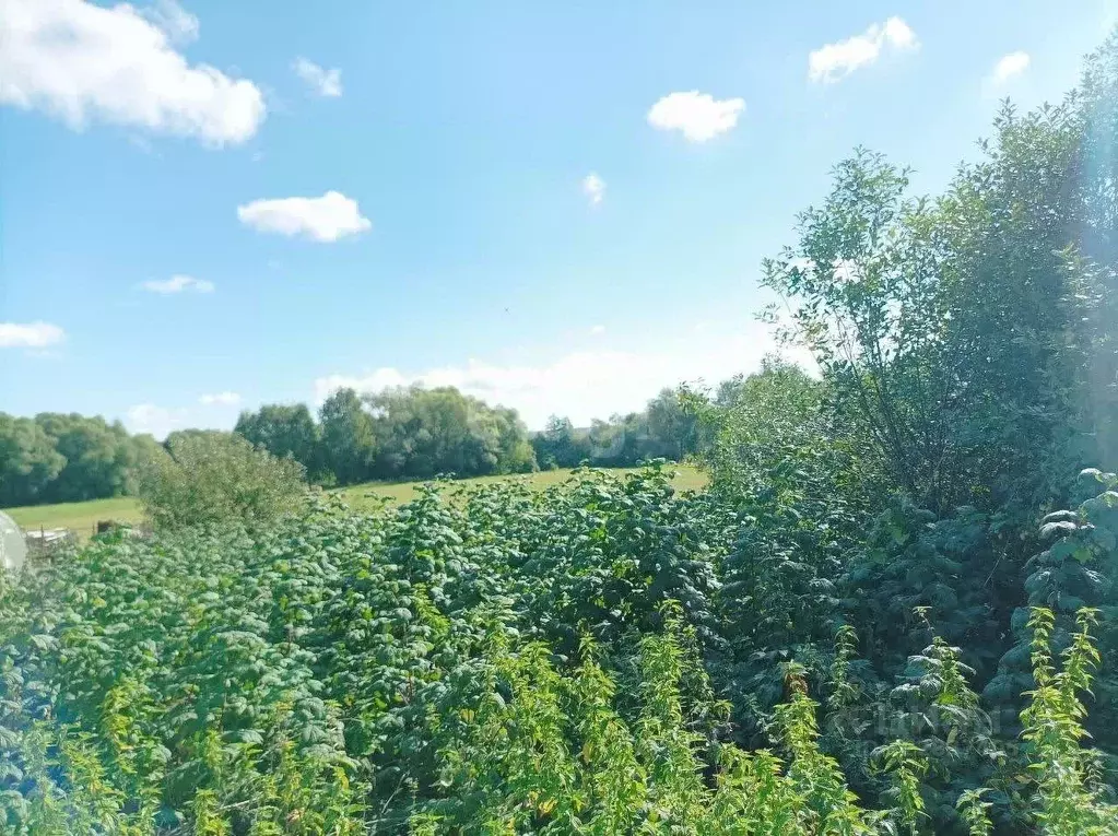 Участок в Мордовия, Дубенский район, с. Петровка  (42.0 сот.) - Фото 1