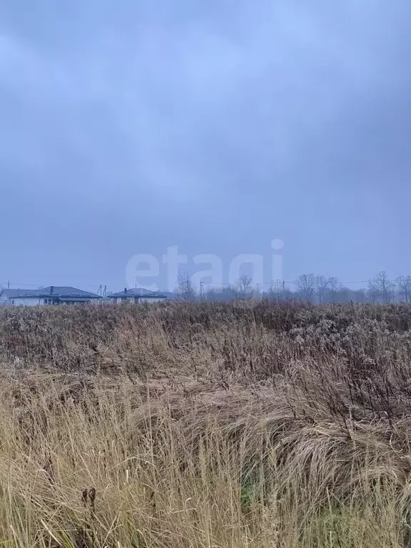 Участок в Калининградская область, Гурьевский муниципальный округ, ... - Фото 1