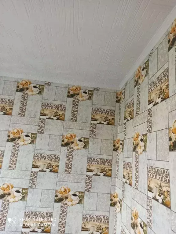 1-к кв. Белгородская область, Корочанский район, Бехтеевское с/пос, с. ... - Фото 2