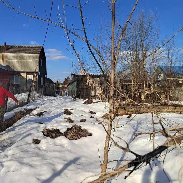 Участок в Московская область, Солнечногорск городской округ, д. ... - Фото 2