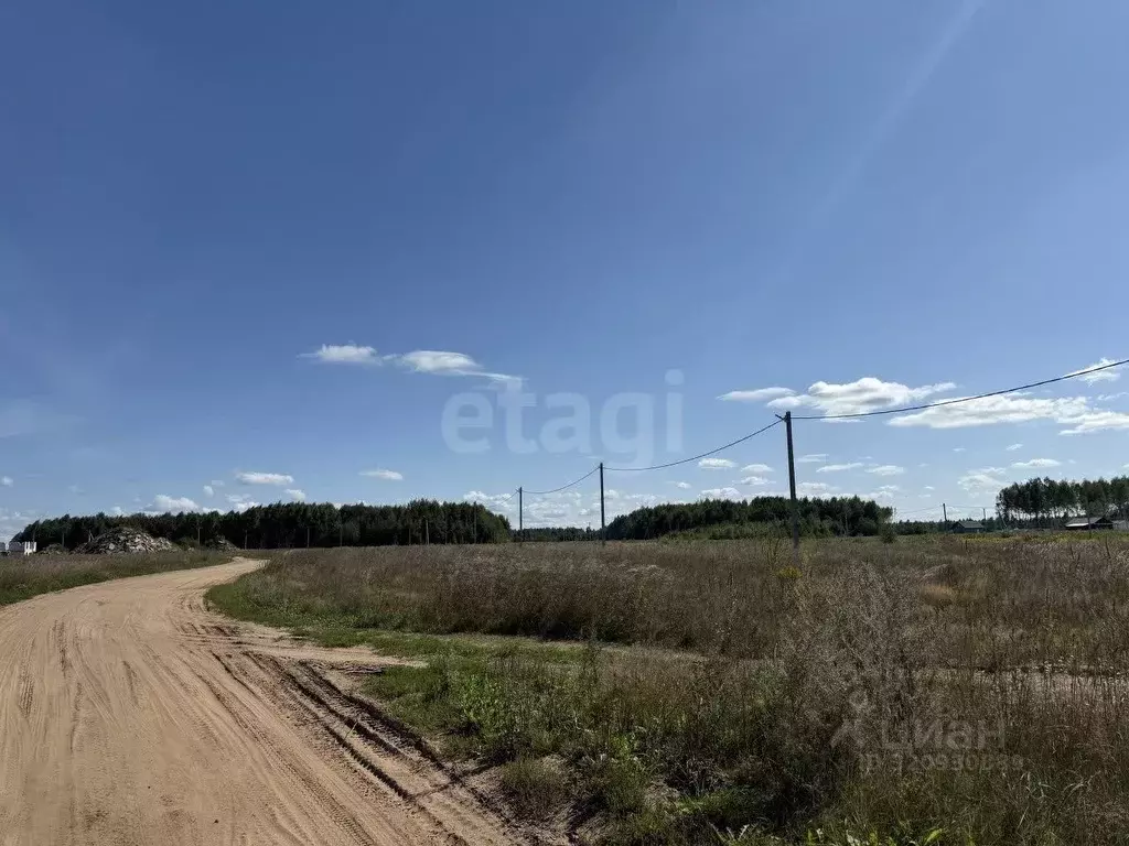 Участок в Ярославская область, Ярославский муниципальный округ, д. ... - Фото 1