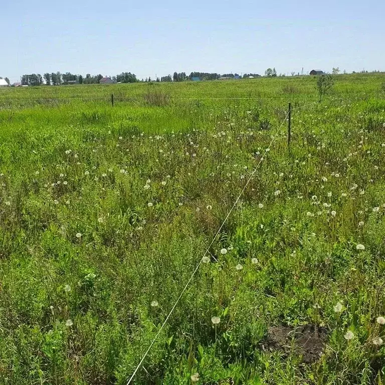 Участок в Курганская область, Курган  (15.75 сот.) - Фото 2