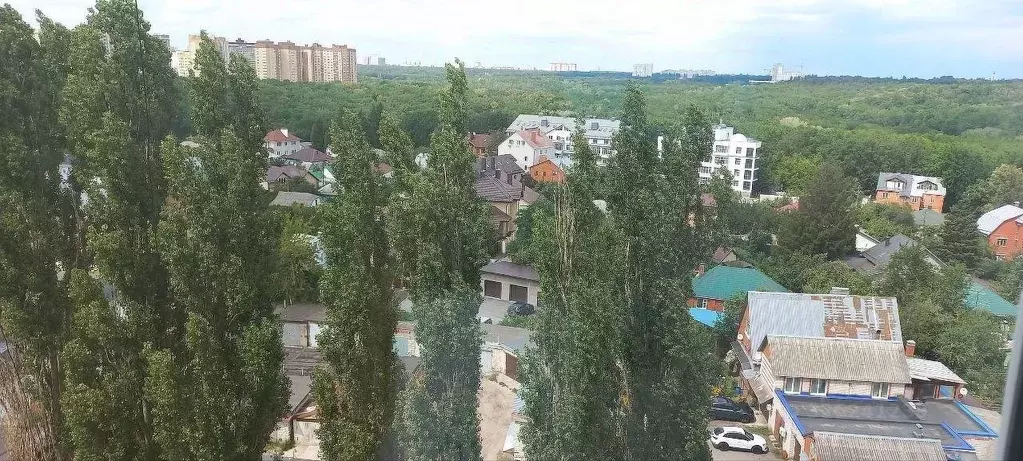 3-к кв. Воронежская область, Воронеж Советская ул., 53 (66.3 м) - Фото 2