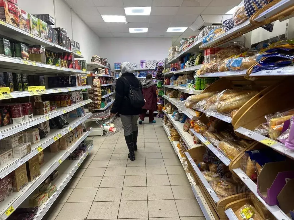 Помещение свободного назначения в Башкортостан, Уфа Борисоглебская ... - Фото 2