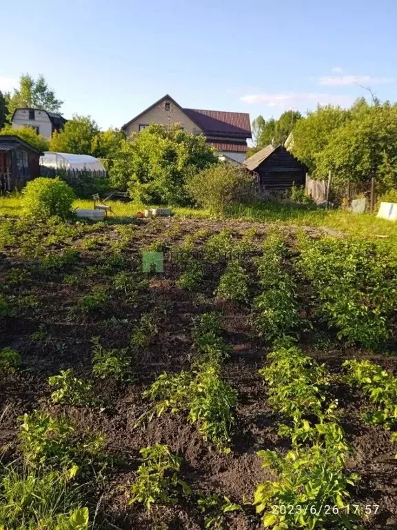 Дом в Татарстан, Зеленодольский район, Васильево муниципальное ... - Фото 2