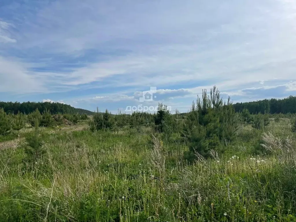 Дом в Свердловская область, Полевской муниципальный округ, пос. ... - Фото 1