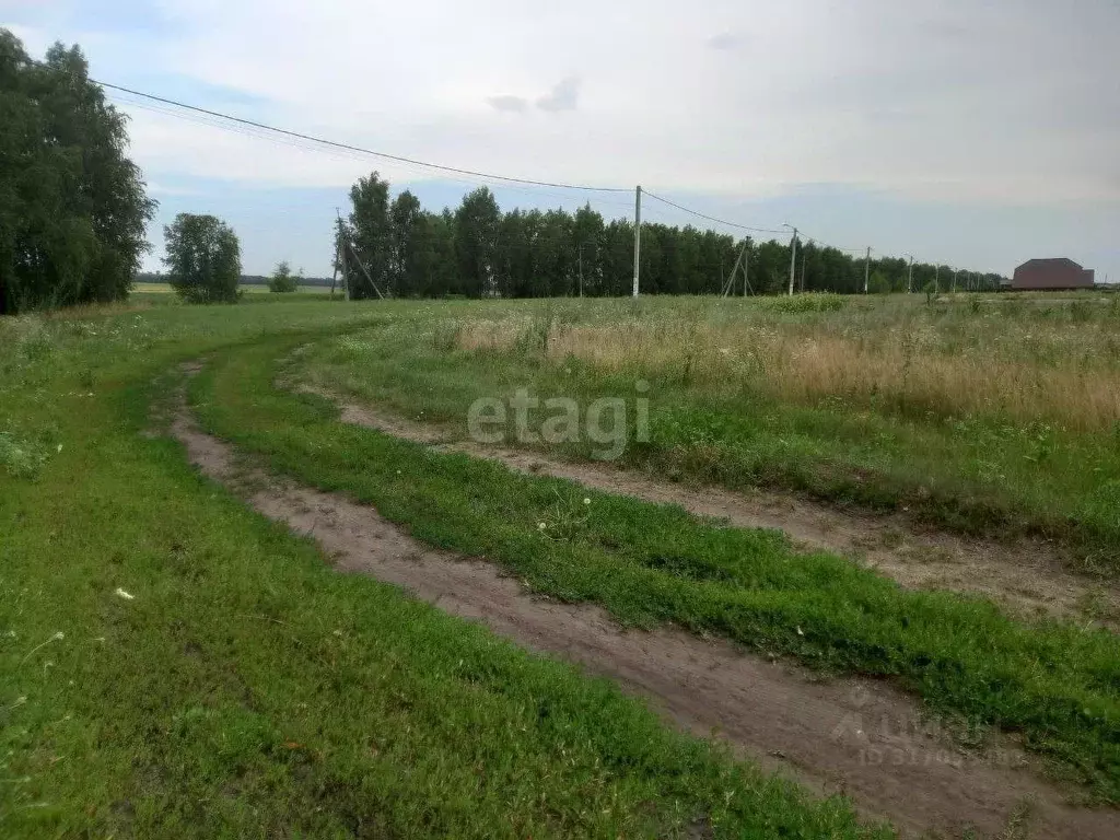 Участок в Белгородская область, Белгородский район, Хохловское с/пос, ... - Фото 1