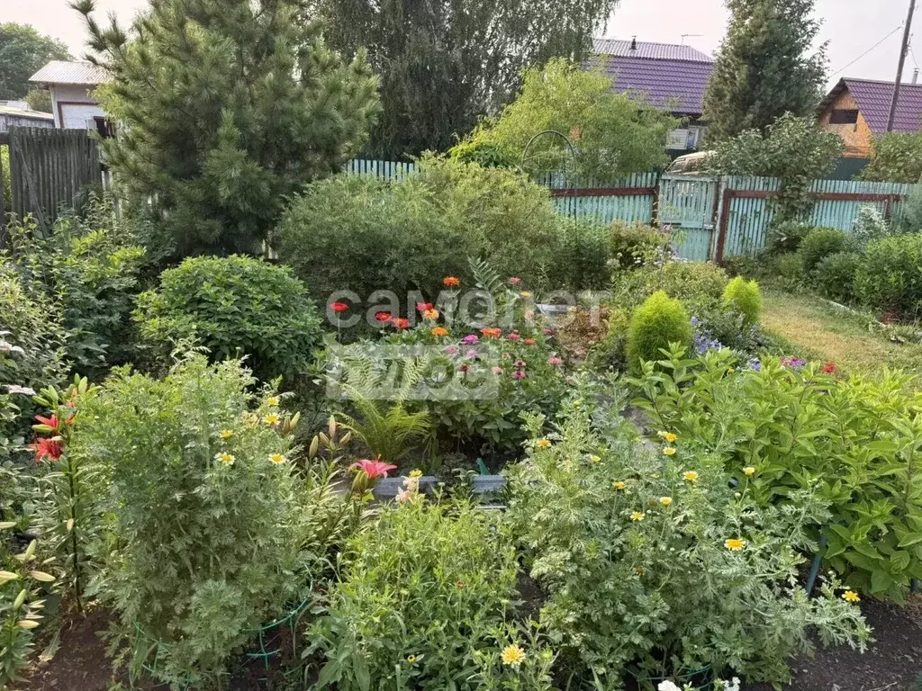 Дом в Томская область, Кожевниковский район, д. Астраханцево ... - Фото 2