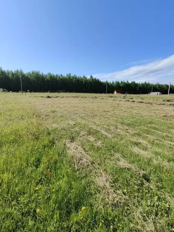 Участок в Коми, Корткеросский район, Додзь муниципальное образование, ... - Фото 2