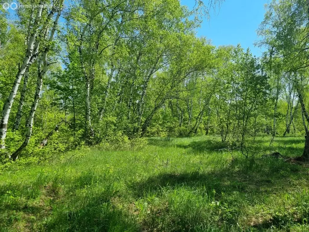 Участок в Саратов, СНТ Водник-67 (10 м) - Фото 2