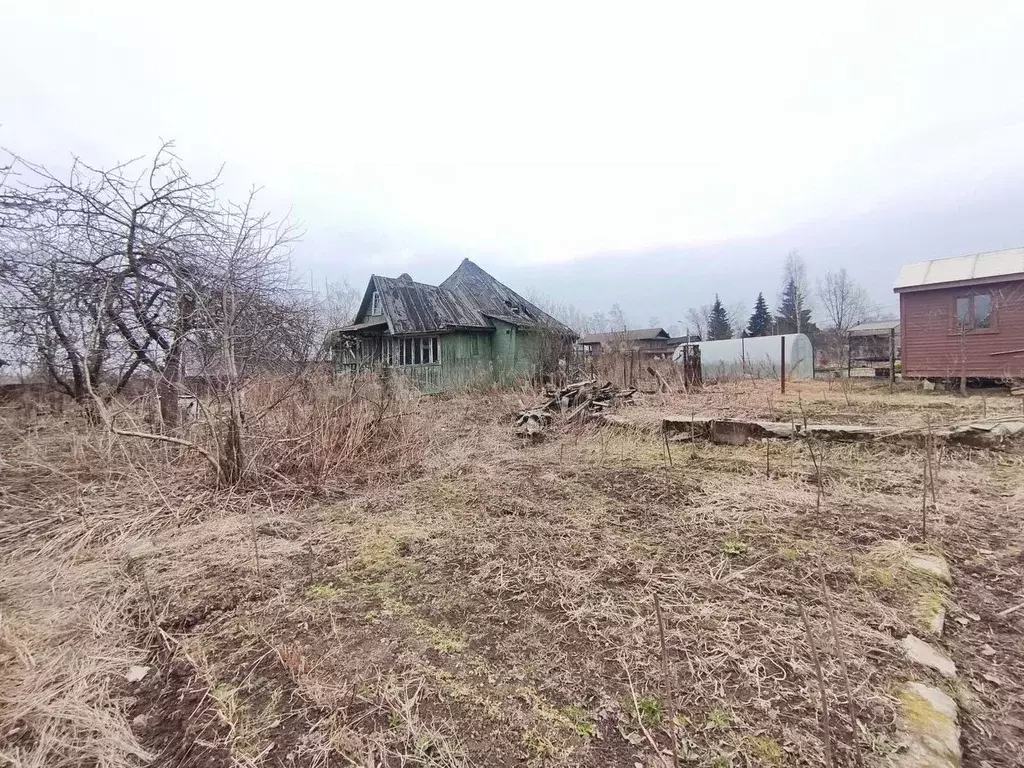 Участок в Санкт-Петербург пос. Усть-Ижора,  (12.97 сот.) - Фото 2