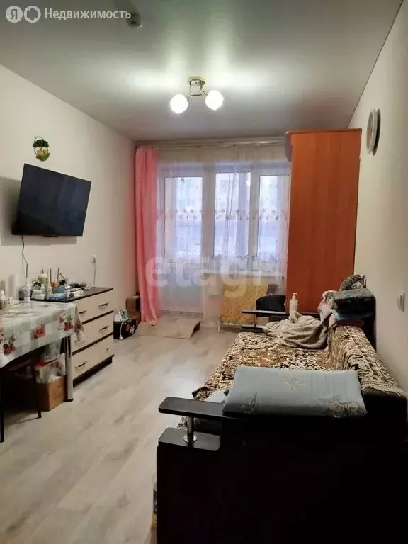 Квартира-студия: село Михайловка, Сливовая улица, 8 (24 м) - Фото 1