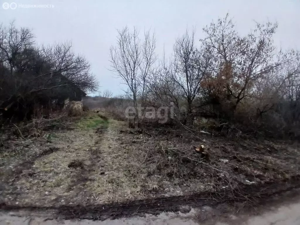 Участок в Белгородская область, Валуйский муниципальный округ, село ... - Фото 1